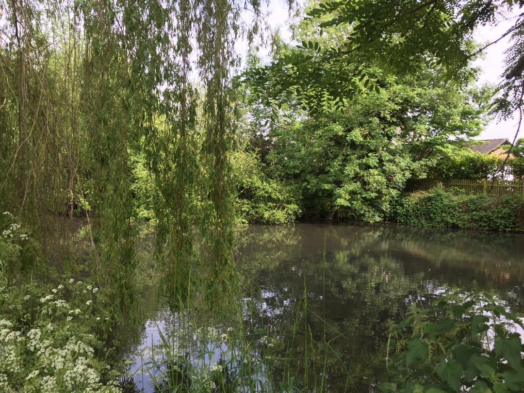 The Old Mill Hotel Alsager Buitenkant foto